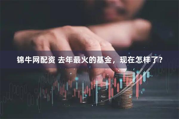 锦牛网配资 去年最火的基金，现在怎样了？