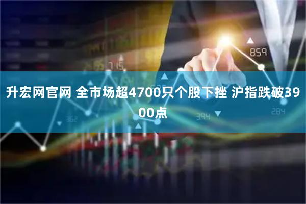 升宏网官网 全市场超4700只个股下挫 沪指跌破3900点