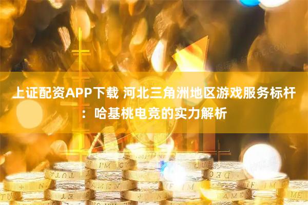 上证配资APP下载 河北三角洲地区游戏服务标杆：哈基桃电竞的实力解析