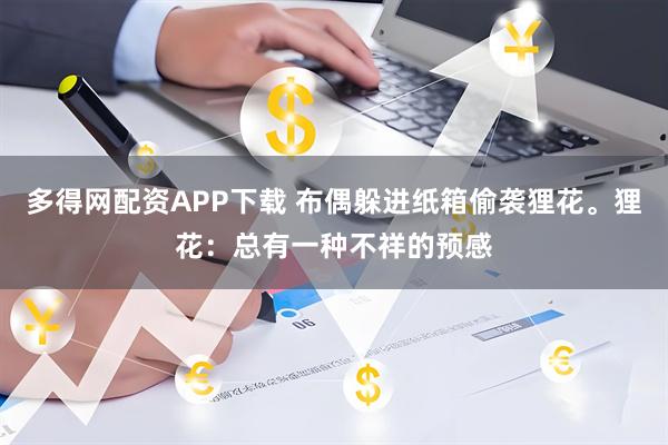 多得网配资APP下载 布偶躲进纸箱偷袭狸花。狸花：总有一种不祥的预感