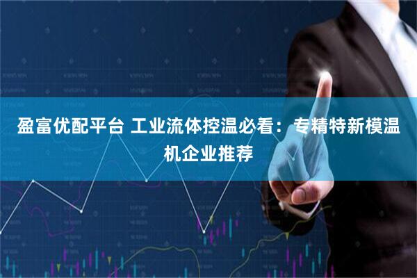 盈富优配平台 工业流体控温必看：专精特新模温机企业推荐
