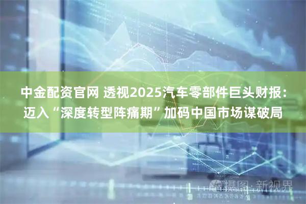中金配资官网 透视2025汽车零部件巨头财报：迈入“深度转型阵痛期”加码中国市场谋破局
